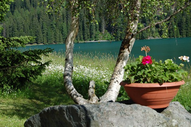 Urlaubsimpression "am See"